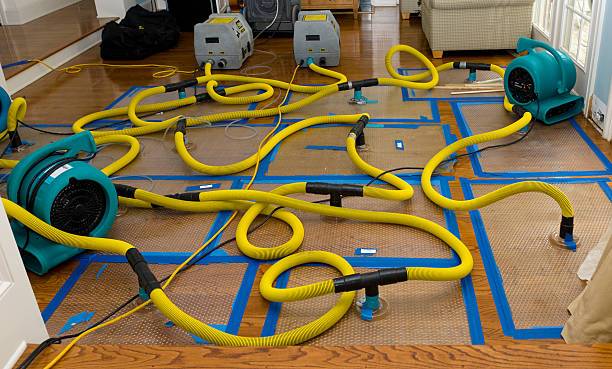 Professional Structural Drying And Dehumidification technician working in Random Lake, WI